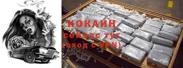 твердый Богородицк