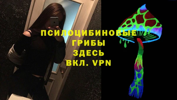 дживик Беломорск